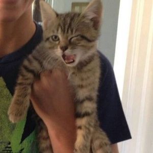 Meet your Posher, Courtney